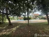 listing thumbnail image 22