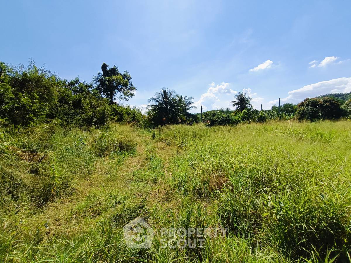 picture 3,200 m² Land for Sale in Thap Tai (ID 1396570) - 6/6