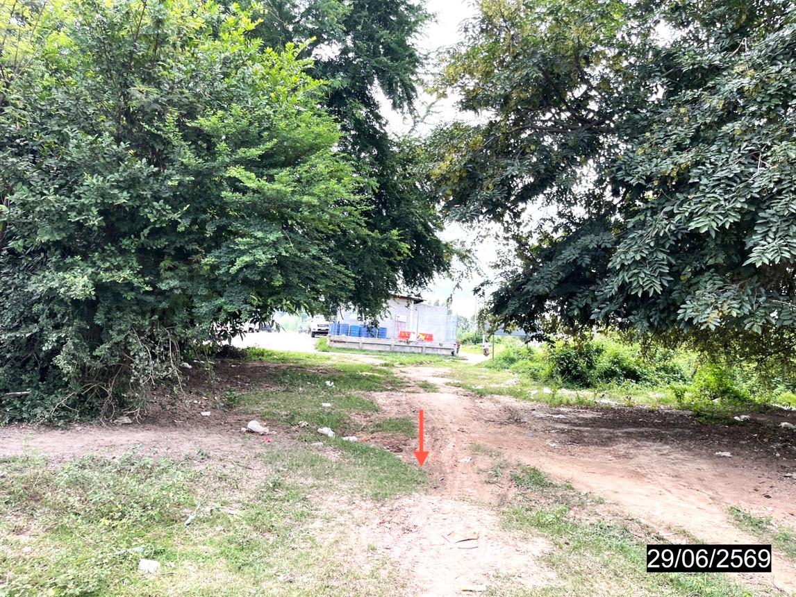 รูป ที่ดินว่างเปล่า 200 ตร.วา หนองกุงศรี กาฬสินธุ์ 1.8M - รูปที่ 14/21