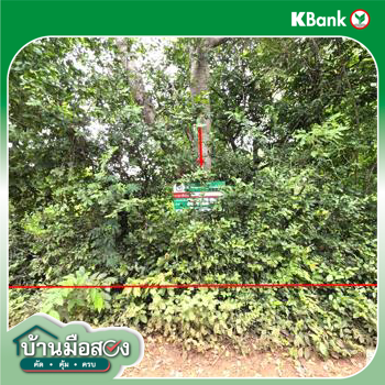 picture LAND 200 Sq.w. Phang Khon Sakon Nakhon for 512,000 - 23/25