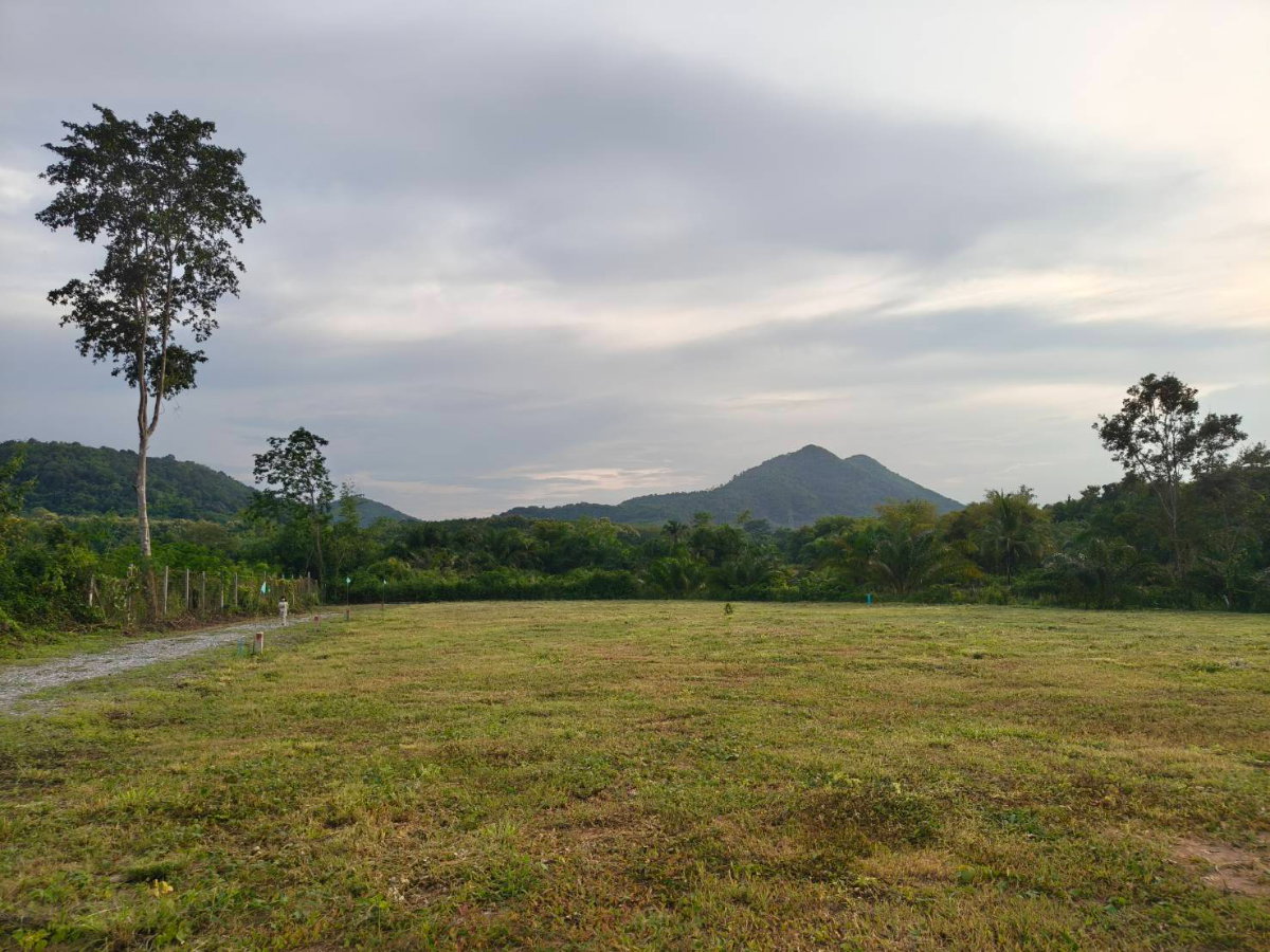 picture Land for Sale - Mountain Views,Loei City - 5/9