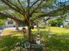 listing thumbnail image 18