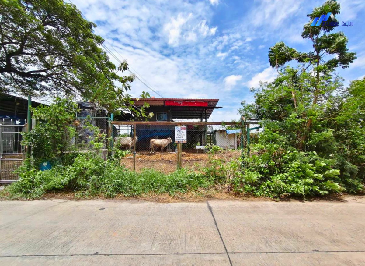picture Land with buildings for sale, 180 sq. wah, Khlong Luang, Pathum Thani. - 2/6