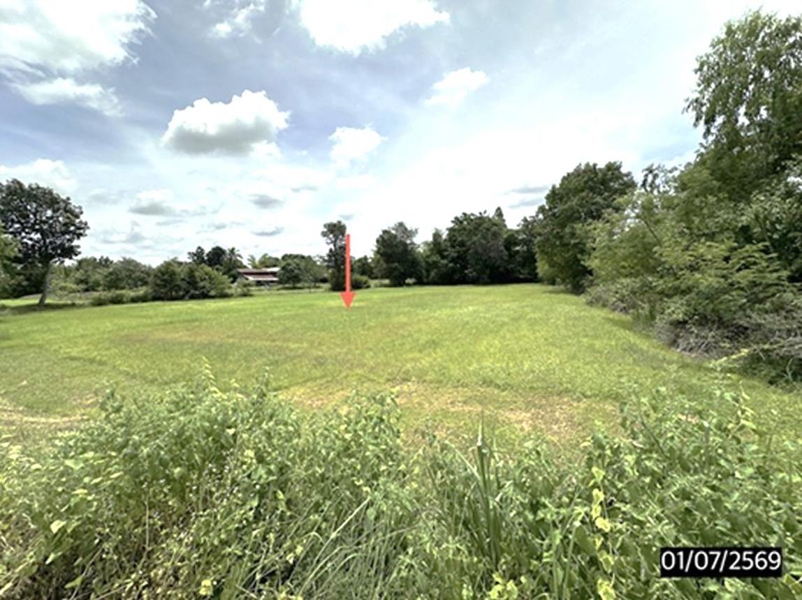 picture LAND 4242 Sq.w. Yang Si Surat Maha Sarakham for 2.8M - 13/17