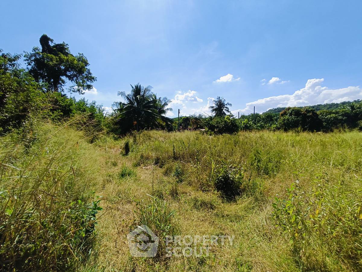 picture 3,200 m² Land for Sale in Thap Tai (ID 1396570) - 5/6
