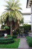 listing thumbnail image 28