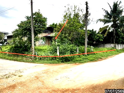 บ้านเดี่ยว เทิง เชียงราย : บ้านเดี่ยว 141 ตร.วา เทิง เชียงราย 569,000