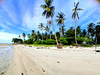 ที่ดิน เกาะสมุย สุราษฎร์ธานี : ที่ดินติดทะเลเกาะสมุยเห็นวิวทะเล