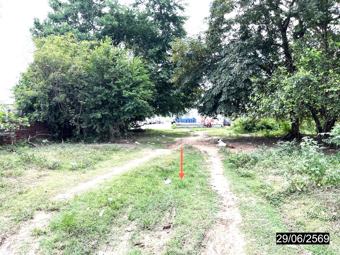รูป ที่ดินว่างเปล่า 200 ตร.วา หนองกุงศรี กาฬสินธุ์ 1.8M - รูปที่ 13/21