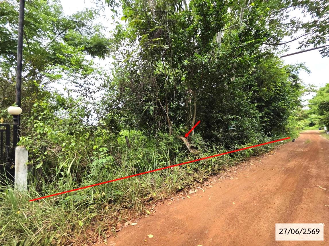 picture LAND 200 Sq.w. Phang Khon Sakon Nakhon for 512,000 - 14/25