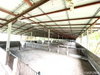 listing thumbnail image 29