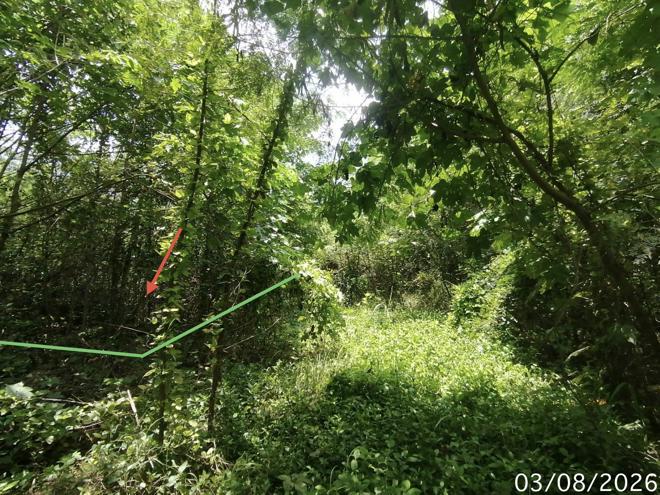 รูป ที่ดินว่างเปล่า 850 ตร.วา บ้านยุพนัย แก่งคอย สระบุรี 1.5M - รูปที่ 2/21