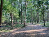 listing thumbnail image 22