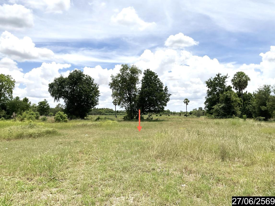 รูป ที่ดินว่างเปล่า 1482 ตร.วา ชุมพวง นครราชสีมา 3.3M - รูปที่ 19/25