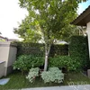 listing thumbnail image 25