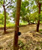 listing thumbnail image 4