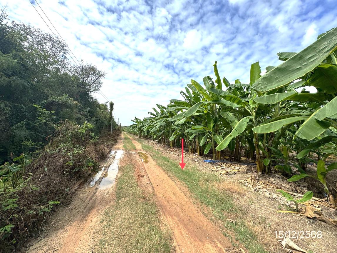 picture LAND 3735 Sq.w. Muang Nakhon Pathom Nakhon Pathom for 8.4M - 14/19
