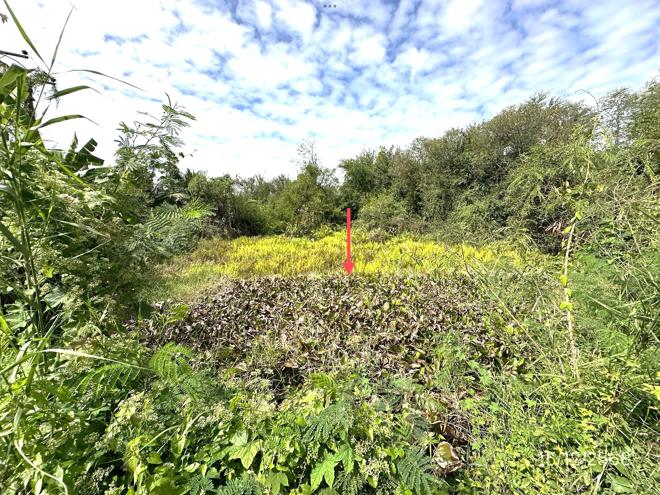 picture LAND 30530.7 Sq.w. Muang Nakhon Pathom Nakhon Pathom for 107.8M - 14/33
