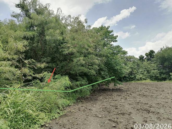 รูป ที่ดินว่างเปล่า 850 ตร.วา บ้านยุพนัย แก่งคอย สระบุรี 1.5M - รูปที่ 7/21