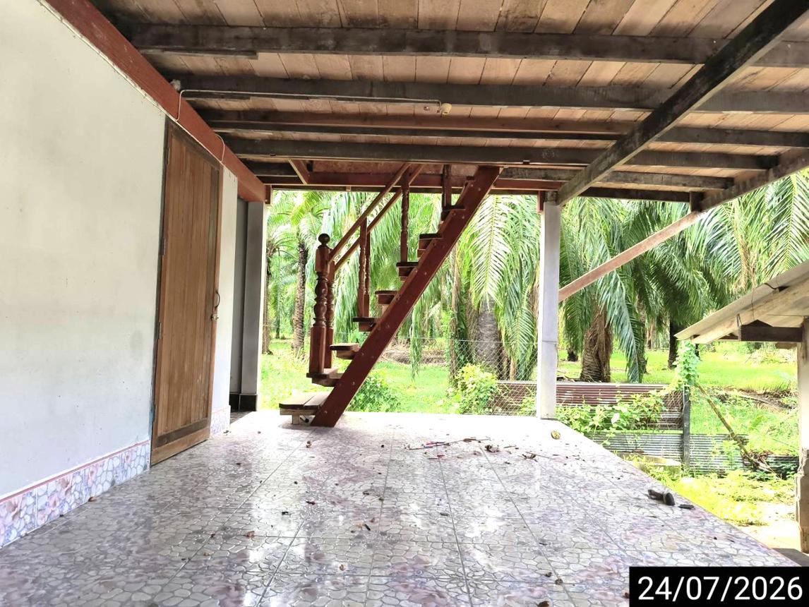 รูป บ้านเดี่ยว 125.9 ตร.วา ไชยา สุราษฎร์ธานี 2.8M - รูปที่ 30/41