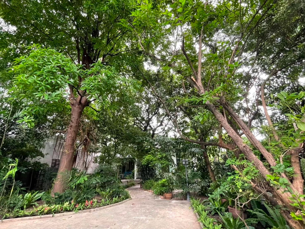 รูป ขายบ้านเดี่ยวอารีย์ ประดิพัทธ์ พญาไท สะพานควาย สุทธิสาร อินทามาระ ที่ดิน 214 ตร.ว 3 ห้องนอน ใกล้กระทรวงการคลัง ตลาดจตุจักร 087-9074045 - รูปที่ 7/15