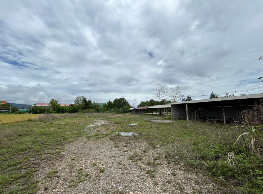picture LAND 1304 Sq.w. Mae Taeng Chiang Mai for 7.5M - 1/5