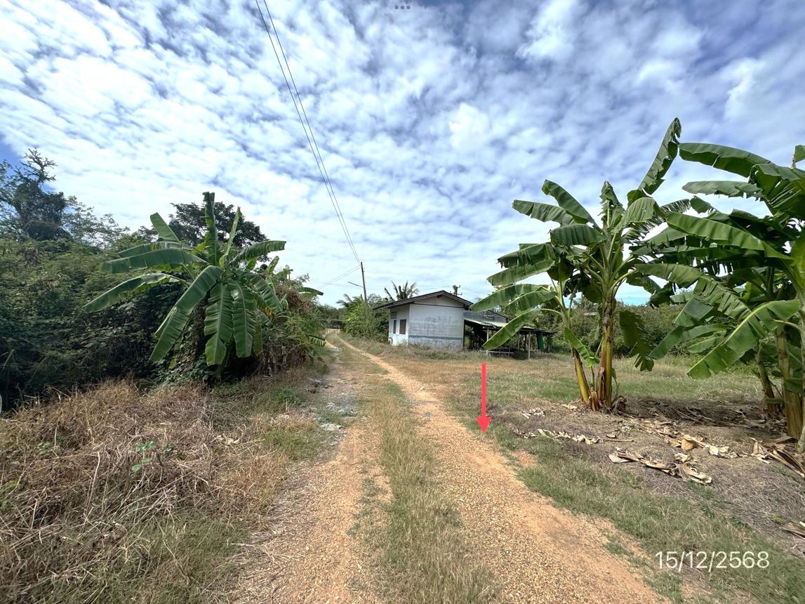 picture LAND 3735 Sq.w. Muang Nakhon Pathom Nakhon Pathom for 8.4M - 13/19