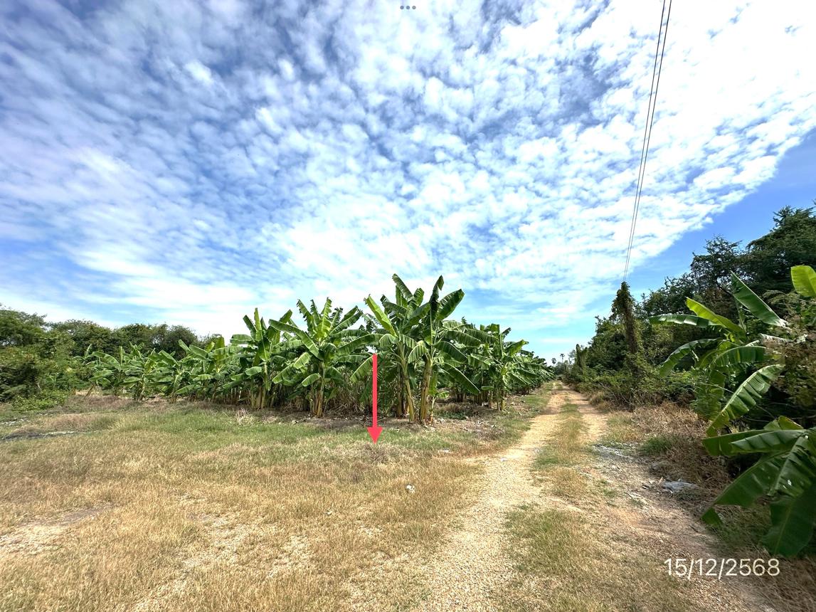 picture LAND 3735 Sq.w. Muang Nakhon Pathom Nakhon Pathom for 8.4M - 10/19