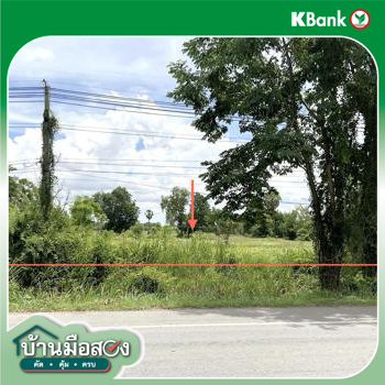 รูป ที่ดินว่างเปล่า 1482 ตร.วา ชุมพวง นครราชสีมา 3.3M - รูปที่ 23/25