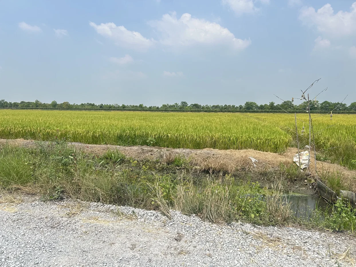 รูป ที่ดิน 2175 ตรว พื้นที่สีม่วง เหมาะทำโรงงานอุตสาหกรรม ไทรใหญ่ ไทรน้อย นนทบุรี - รูปที่ 3/3