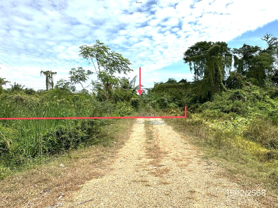 picture LAND 3735 Sq.w. Muang Nakhon Pathom Nakhon Pathom for 8.4M - 9/19