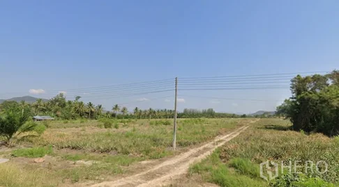ที่ดิน 19157 ตรว อ่าวน้อย เมืองประจวบคีรีขันธ์ ประจวบคีรีขันธ์