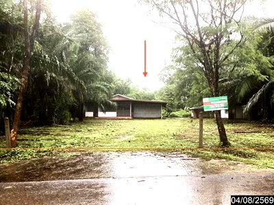 บ้านเดี่ยว 986 ตร.วา เซกา บึงกาฬ 3.1M