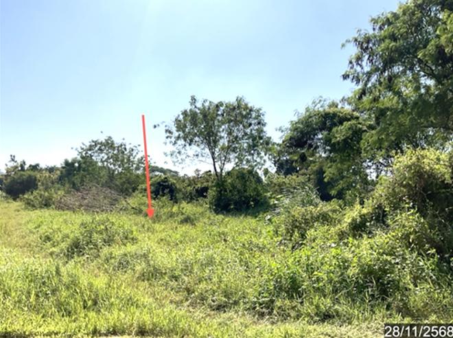 รูป ที่ดินว่างเปล่า 26439.5 ตร.วา เมืองเชียงราย เชียงราย 197.6M - รูปที่ 5/19