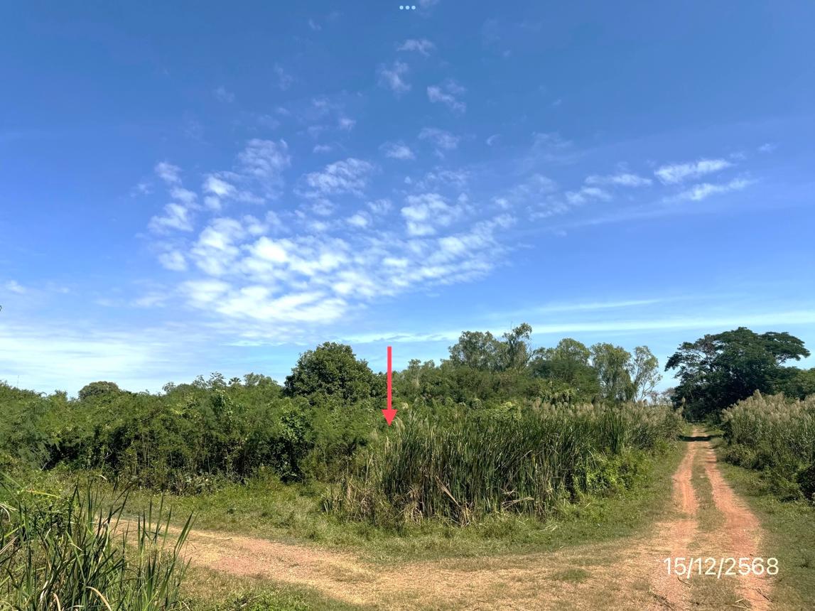 picture LAND 30530.7 Sq.w. Muang Nakhon Pathom Nakhon Pathom for 107.8M - 27/33