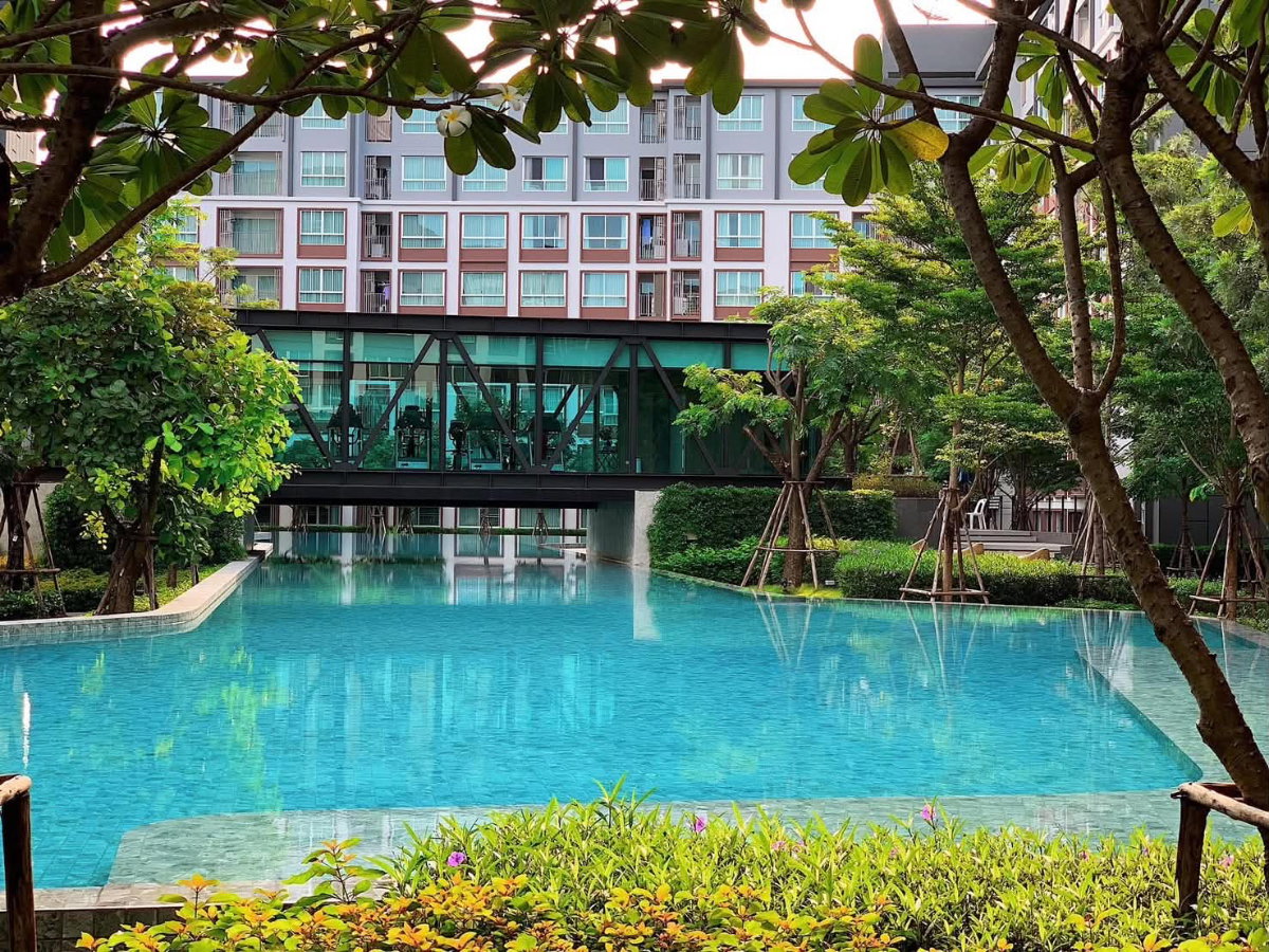 รูป 🍃 ด่วน! ให้เช่าคอนโด ที่ Dcondo Ping ** ห้องสวย เฟอร์ครบ พร้อมเข้าอยู่ ** ทำเลดีมาก เดินทางสะดวก ติดห้างสรรพสินค้า Central Festival (สามารถเดินไปได้) - รูปที่ 8/8