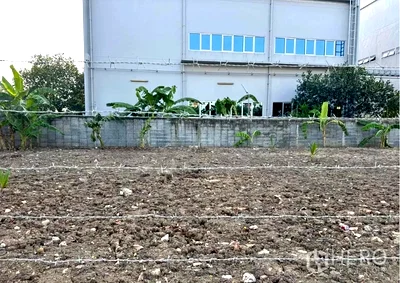 Land for sale Bangkok : Land 160 sqw in Rat Phatthana, Saphan Sung, Bangkok