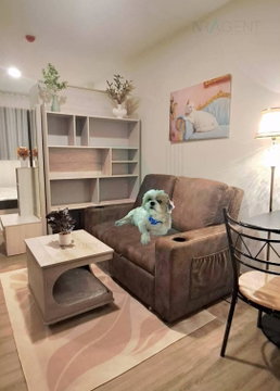 For Rent Condo THE ORIGIN BANGKAE Building C, Floor 8,Studio, Room size 25 sqm