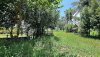 listing thumbnail image 16