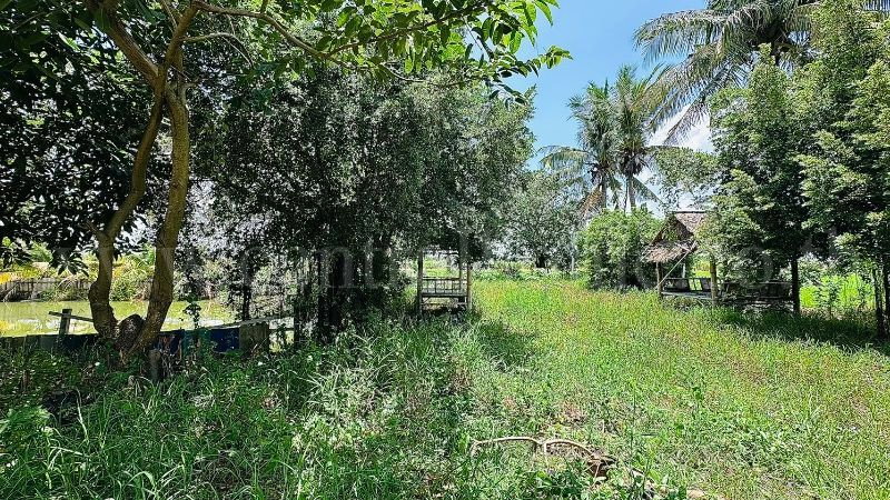 รูป บ้านเดี่ยว ที่ดิน 1 ไร่ 3 งาน คลองชะโด สามชุก สุพรรณบุรี วิวสวย ราคาถูกมาก - รูปที่ 17/19
