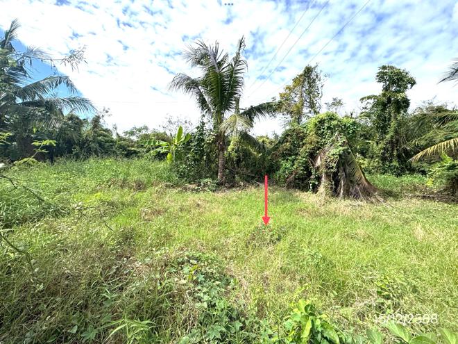 picture LAND 3735 Sq.w. Muang Nakhon Pathom Nakhon Pathom for 8.4M - 4/19