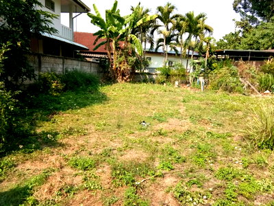 Land for rent Chiang Mai : Prime Land for Rent in Suthep, Chiang Mai | 124 Sq.Wah Near CMU
