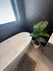 listing thumbnail image 52