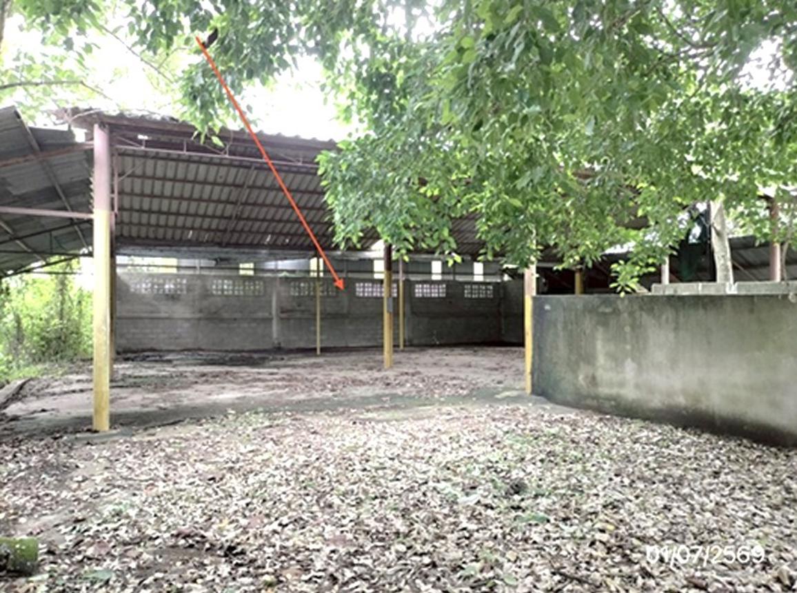 picture HOME 2082 Sq.w. Mae Chan Chiang Rai for 3.4M - 32/37
