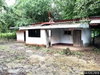 listing thumbnail image 18