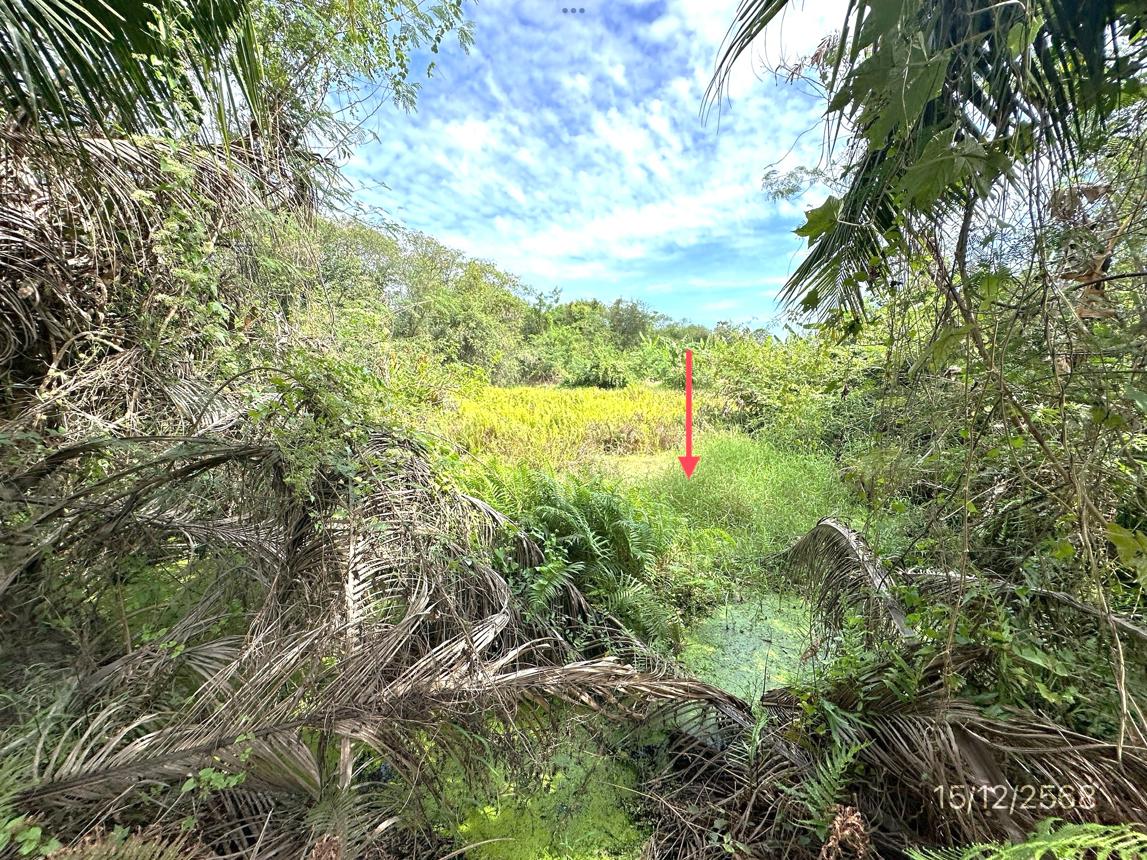 picture LAND 3735 Sq.w. Muang Nakhon Pathom Nakhon Pathom for 8.4M - 15/19