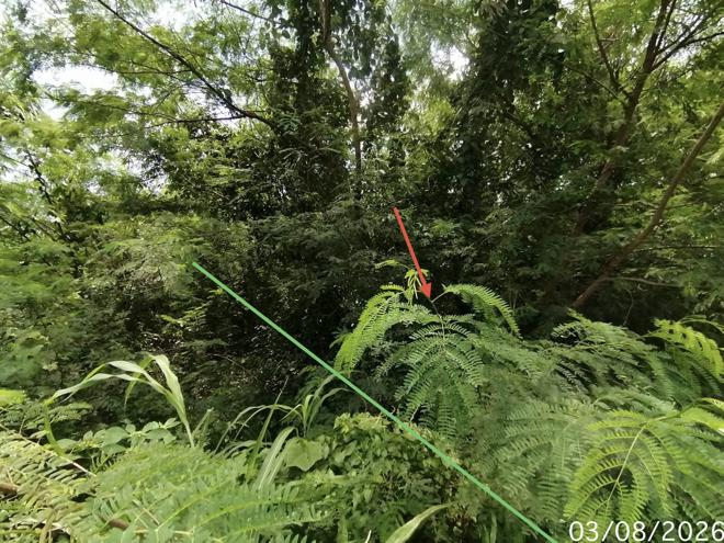 รูป ที่ดินว่างเปล่า 850 ตร.วา บ้านยุพนัย แก่งคอย สระบุรี 1.5M - รูปที่ 5/21