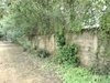 listing thumbnail image 32