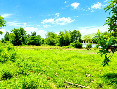 ที่ดิน สวนมิตรภาพขอนแก่น-หนานหนิงวัฒนธรรมไทย-จีน : ขายที่ดิน 17 ไร่ 84.5 ตร.ว. เมืองเก่า ขอนแก่น ทำเลดี เหมาะทำโครงการ ลงทุนระยะยาว