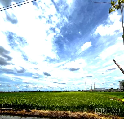 Land for sale Lam Luk Ka : Land 9750 sqw in Lam Luk Ka, Pathum Thani
